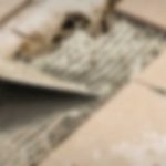 Become a master of backyard tiling